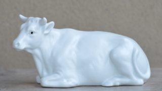 12/13 ⚠️白岩グッズ多数出品中様 DSC_77962-320x180.jpg